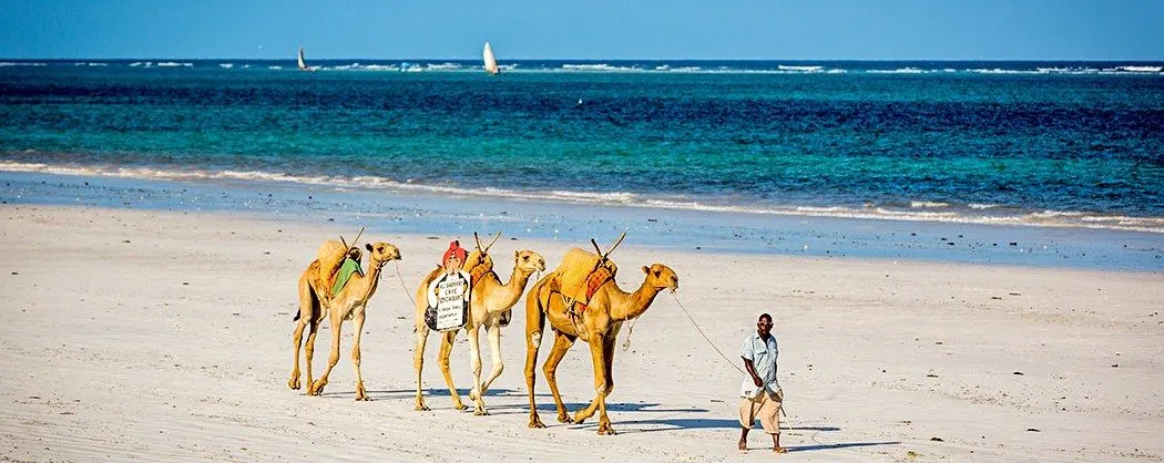 Mombasa Kenya Ultimate Guide